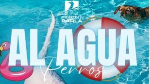 'Al Agua Perros' despedirá la temporada de piscinas municipales en Parla
