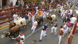 El toro 'Veleto' pone emoción al sexto encierro de San Sebastián de los Reyes