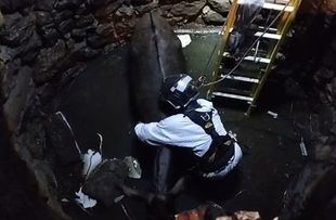 Los bomberos rescatan a un burro atrapado en un pozo en una finca de Robledo de Chavela