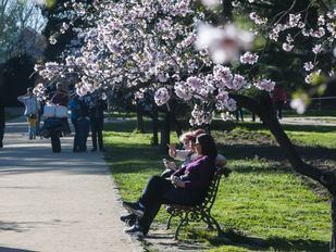 La Quinta de los Molinos, un tesoro floral de Madrid, ya es Bien de Interés Cultural