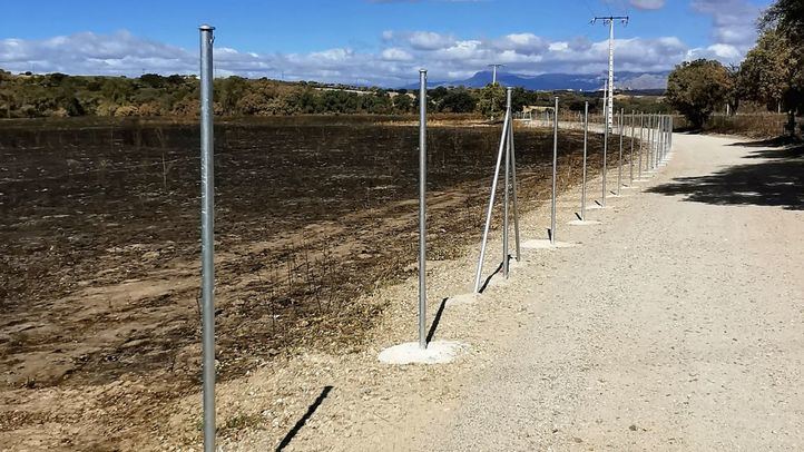 Camino La Moraleja en Tres Cantos
