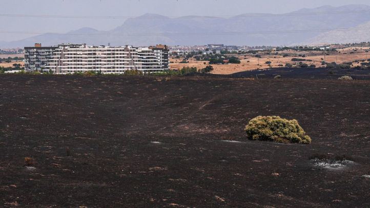 Área calcinada tras el incendio en Tres Cantos del pasado mes de agosto.