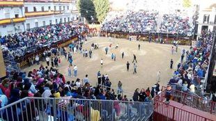 Encierro en Arganda del Rey