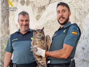 Agentes de la Guardia Civil junto a un búho real herido que habían rescatado en la localidad de Valdemanco (Madrid)