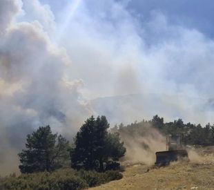 La Comunidad amplía el despliegue de medios para la extinción del fuego de Peñalba de la Sierra (Guadalajara)
