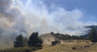 Incendio declarado en Peñalba de la Sierra (Guadalajara)