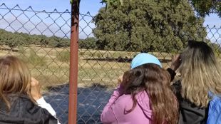 Avistamiento de animales en una de las sendas organizadas por el Centro de Interpretación de la naturaleza de Montecarmelo