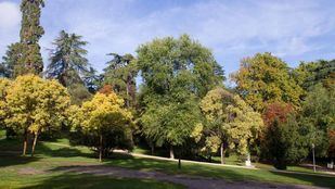 El TSJM reconoce el derecho al descanso semanal para jardineros de los parques históricos en vacaciones que inician en domingo