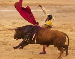 PP y PSOE, unidos (no sin polémica) por la protección cultural de la tauromaquia