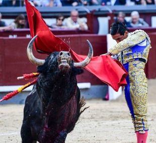 Petardo ganadero y novilleros posmodernos