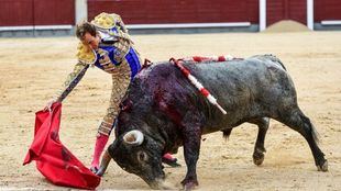 Feria de Otoño: oreja a la verdad de Román y percance de Galván