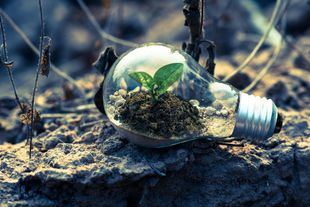 Una mirada integral al futuro sostenible: desafíos y estrategias