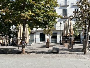 Archivo: Carteles en protesta del plan del Ayuntamiento de Madrid para talar los árboles de la Plaza de Santa Ana