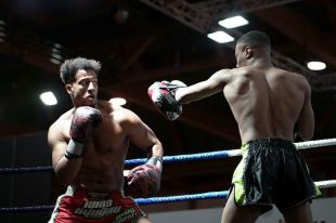 La influencia del boxeo en el mundo de las apuestas mexicanas