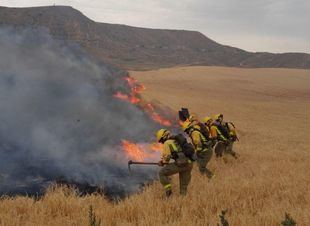 Un juez obliga a la Comunidad a pagar el complemento específico a un agente forestal de baja por incapacidad temporal