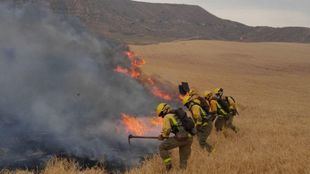 Incendio forestal en el Cerro del Viso, entre Alcalá y Torres de la Alameda