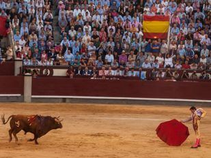 Denunciado el incremento en la partida para Asuntos Taurinos