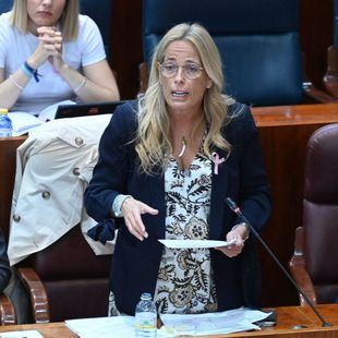 La Comunidad aproxima la deuda de Madrid Network a 65 millones de euros