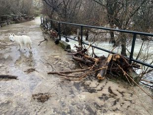 Molestias generadas por las crecidas del río Manzanares