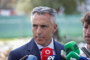 Novillo llama a la calma sobre la peste porcina