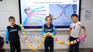 El poder de las emociones en el aula: el aprendizaje de Mateo