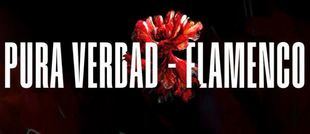 'Pura Verdad', el flamenco más auténtico llega al Teatro Gran Vía