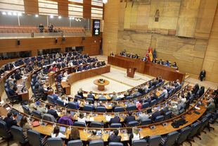 Pleno de la Asamblea