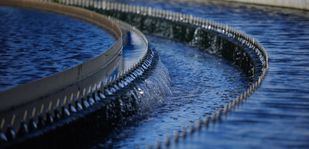 La Comunidad estudia un proceso para aprovechar aguas residuales de la industria láctea