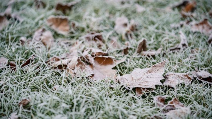 Césped helado por las bajas temperaturas, en una imagen de archivo