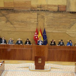 Nuevo 'toque' del Constitucional a la Mesa de la Asamblea por rechazar iniciativas de Más Madrid
