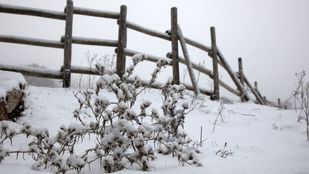 Nieve en el Puerto de Cotos, a 2 de diciembre de 2025