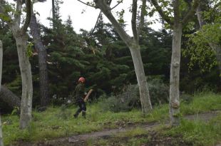 Los Vargas, el rey y la tierra prometida