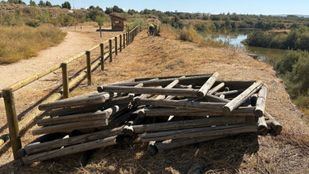 Concluye la restauración de dos humedales del Parque del Sureste tras las inundaciones de marzo