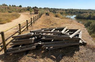 Concluye la restauración de dos humedales del Parque del Sureste tras las inundaciones de marzo
