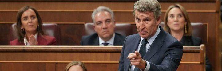 Alberto Núñez Feijóo en el Congreso