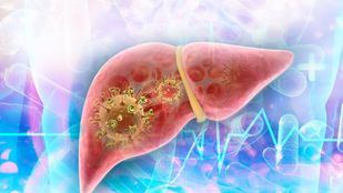 Virus de la hepatitis en el hígado