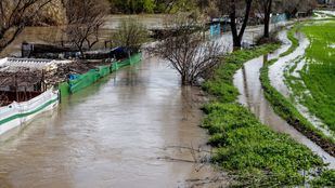 Sin riesgo grave por ahora, pero con el Jarama bajo máxima alerta