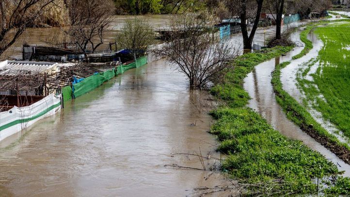 Zona de cultivos afectada por el desbordamiento del Río Jarama