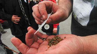 Un consumidor de cannabis se prepara un porro
