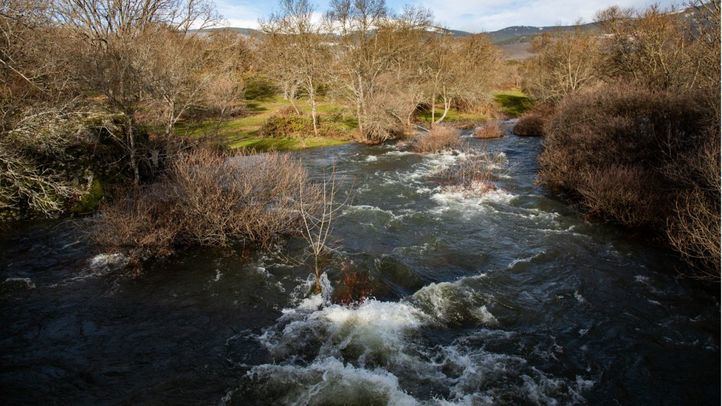 Río Lozoya junto al embalse de Pinilla, a 30 de enero de 2026