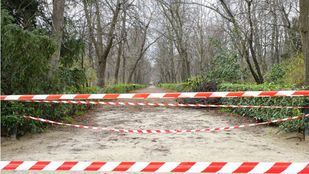 El Retiro y otros ocho parques de Madrid se mantienen cerrados este domingo por viento