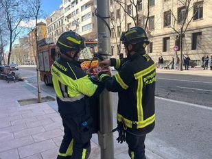 Los bomberos del Ayuntamiento de Madrid han realizado hasta 123 intervenciones a lo largo de la mañana, la mayoría relacionadas con el arbolado