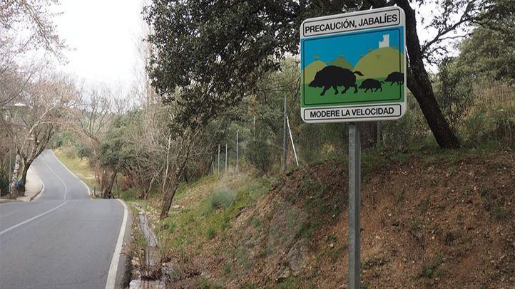 Señal informativa de la presencia de jabalíes en Torrelodones similares a las que se instalarán en Aranjuez