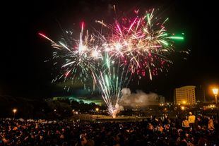 Fuegos artificiales en el Parque de Pradolongo por el Año Nuevo chino