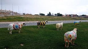 Parcela cedida por el Ayuntamiento de Colmenar Viejo para la construcción de un centro educativo privado-concertado