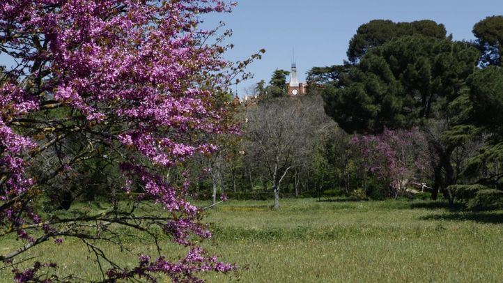 Quinta de Torre Arias