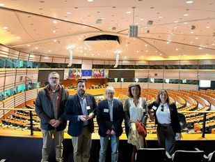 Vecinos de Montecarmelo en el Parlamento Europeo
