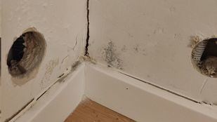 Moho negro en el Plan Vive de Tres Cantos: "Llevo tres meses fuera de mi casa"