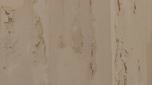 Humedades en las viviendas del Plan Vive en Tres Cantos