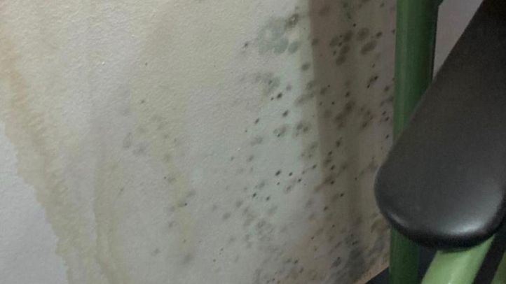 Moho en el IES Miguel de Cervantes